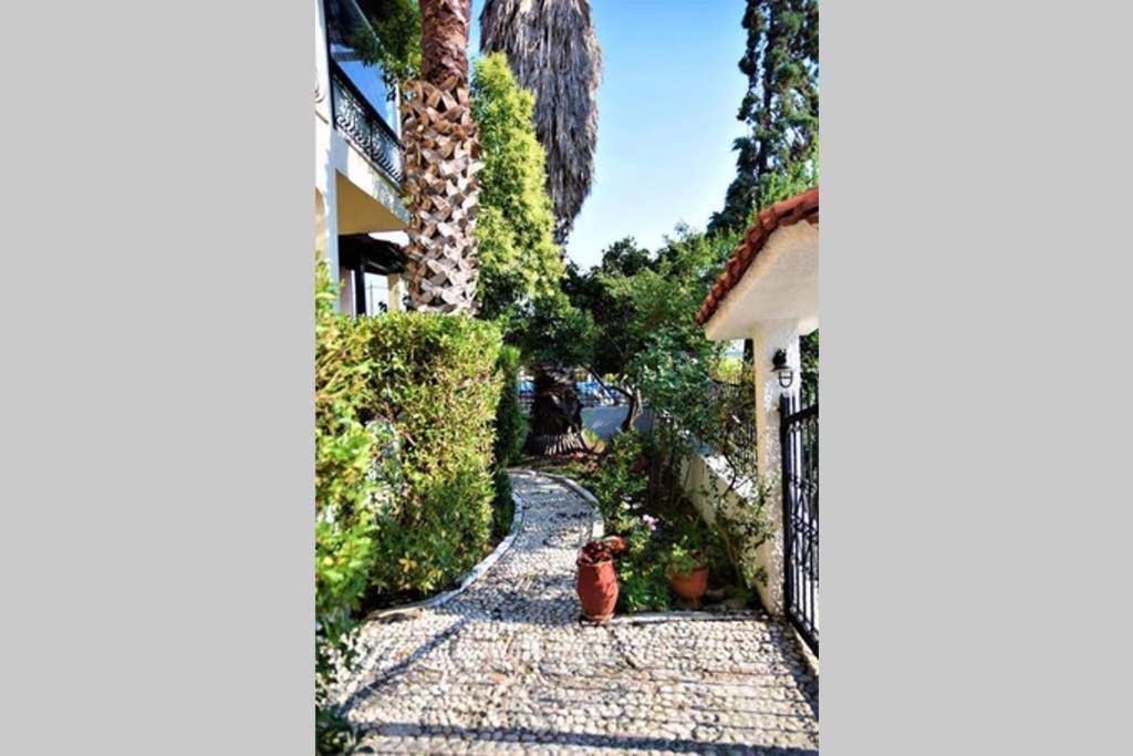 Calma Luxury Apartments #3 Sozopoli In Halkidiki Exterior foto